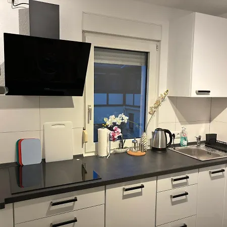 公寓 Anna's 威斯巴登